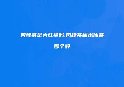 肉桂茶是大红袍吗,肉桂茶和水仙茶哪个好