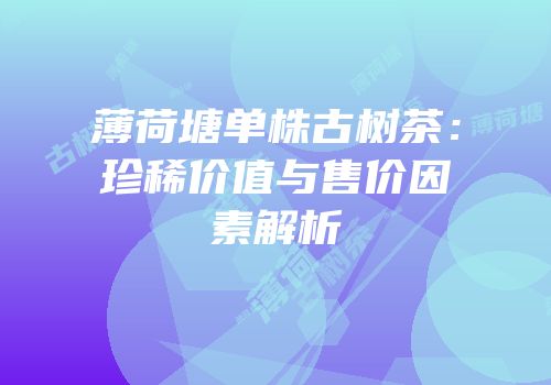 薄荷塘单株古树茶：珍稀价值与售价因素解析