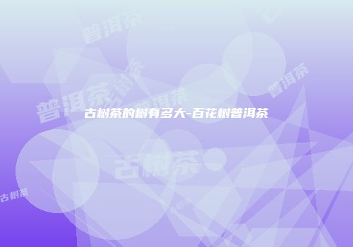 古树茶的树有多大-百花树普洱茶