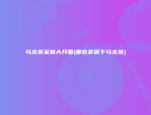 乌龙茶采摘大开面(哪些茶属于乌龙茶)