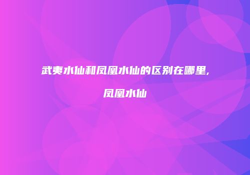武夷水仙和凤凰水仙的区别在哪里,凤凰水仙