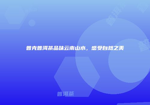 普克普洱茶品味云南山水，感受自然之美