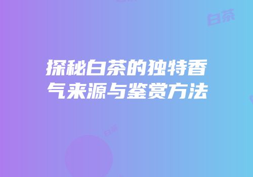 探秘白茶的独特香气来源与鉴赏方法
