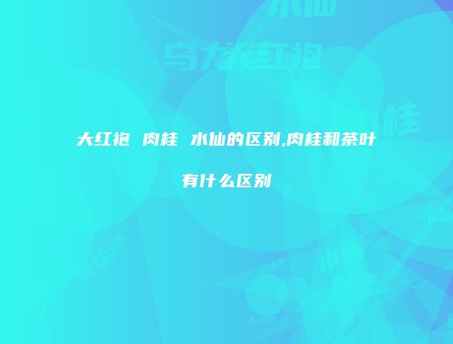 大红袍 肉桂 水仙的区别,肉桂和茶叶有什么区别