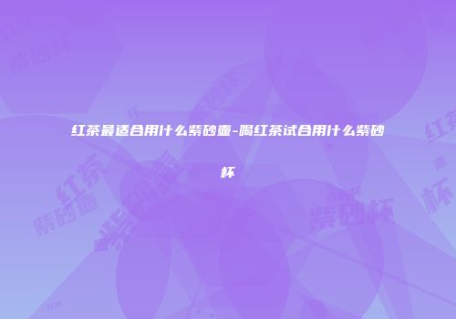 红茶最适合用什么紫砂壶-喝红茶试合用什么紫砂杯