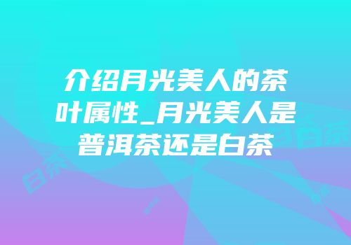介绍月光美人的茶叶属性_月光美人是普洱茶还是白茶