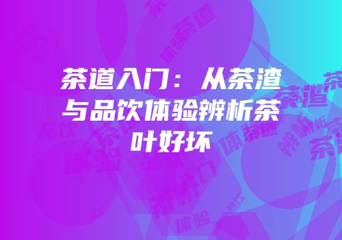 茶道入门：从茶渣与品饮体验辨析茶叶好坏