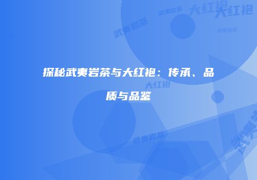 探秘武夷岩茶与大红袍：传承、品质与品鉴