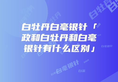 白牡丹白毫银针「政和白牡丹和白毫银针有什么区别」