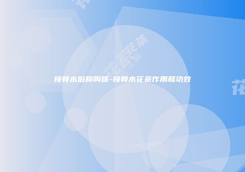 接骨木俗称叫啥-接骨木花茶作用和功效