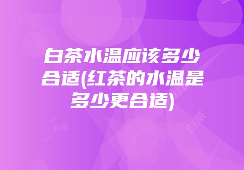白茶水温应该多少合适(红茶的水温是多少更合适)