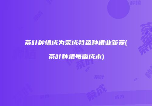 茶叶种植成为荣成特色种植业新宠(茶叶种植每亩成本)