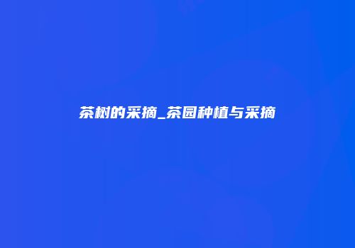茶树的采摘_茶园种植与采摘