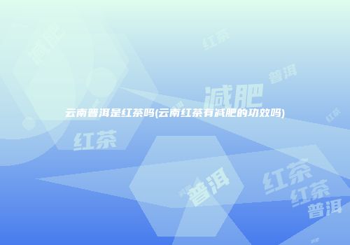 云南普洱是红茶吗(云南红茶有减肥的功效吗)