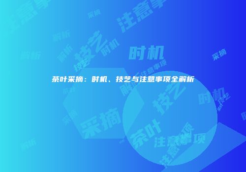 茶叶采摘：时机、技艺与注意事项全解析