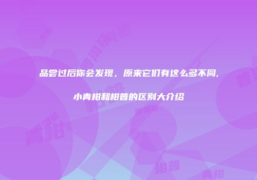 品尝过后你会发现，原来它们有这么多不同,小青柑和柑普的区别大介绍