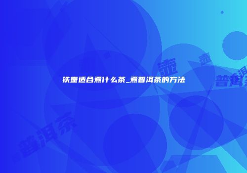 铁壶适合煮什么茶_煮普洱茶的方法