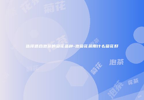 选择适合泡茶的菊花品种-泡菊花茶用什么菊花好