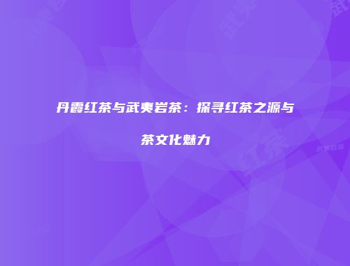 丹霞红茶与武夷岩茶：探寻红茶之源与茶文化魅力