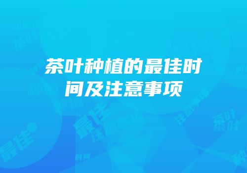 茶叶种植的最佳时间及注意事项