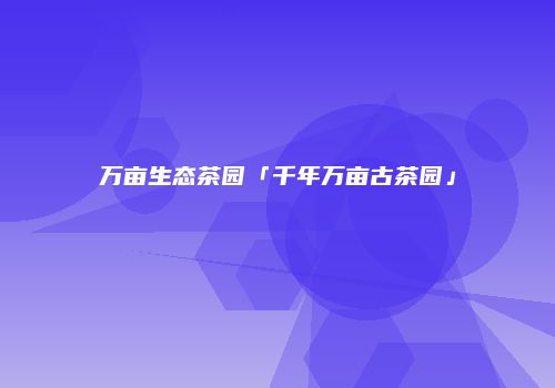 万亩生态茶园「千年万亩古茶园」