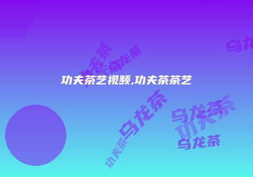 功夫茶艺视频,功夫茶茶艺