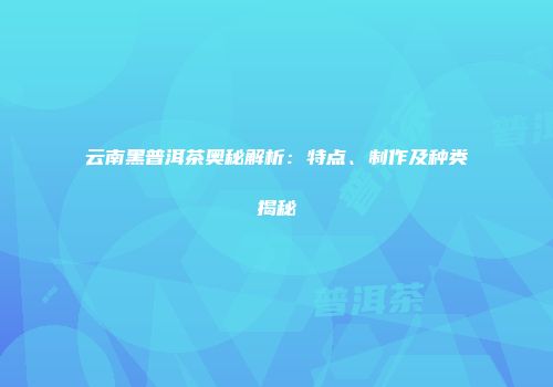 云南黑普洱茶奥秘解析：特点、制作及种类揭秘