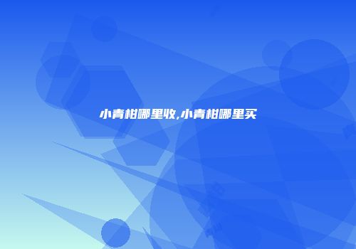 小青柑哪里收,小青柑哪里买