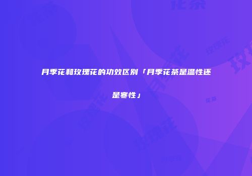 月季花和玫瑰花的功效区别「月季花茶是温性还是寒性」