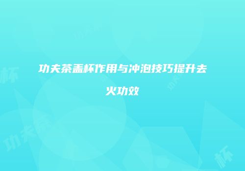功夫茶盖杯作用与冲泡技巧提升去火功效
