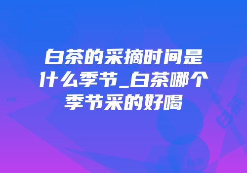 白茶的采摘时间是什么季节_白茶哪个季节采的好喝