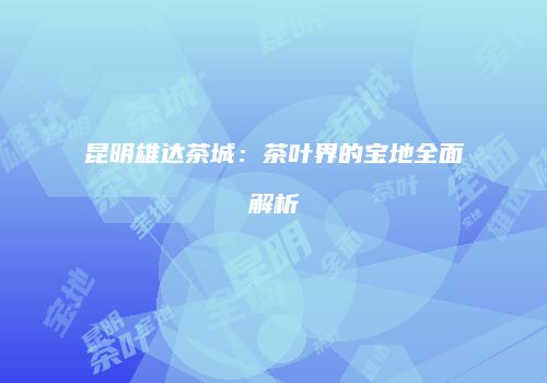 昆明雄达茶城：茶叶界的宝地全面解析