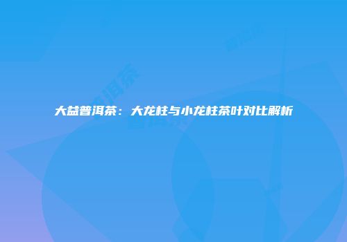 大益普洱茶：大龙柱与小龙柱茶叶对比解析