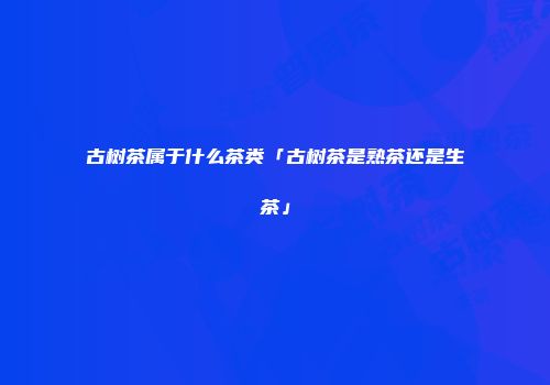 古树茶属于什么茶类「古树茶是熟茶还是生茶」