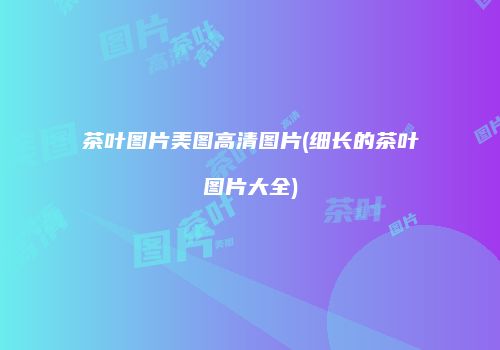 茶叶图片美图高清图片(细长的茶叶图片大全)