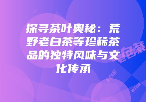 探寻茶叶奥秘：荒野老白茶等珍稀茶品的独特风味与文化传承