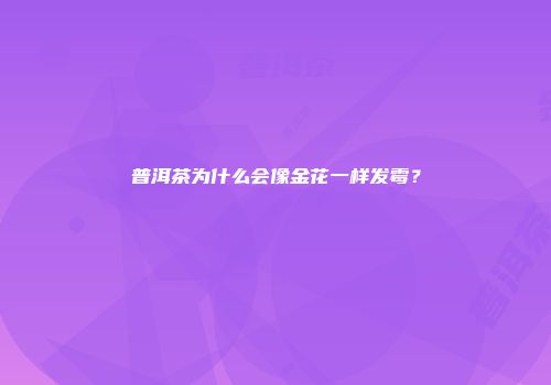 普洱茶为什么会像金花一样发霉？