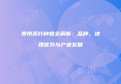 贵州茶叶种植全解析：品种、地理优势与产业发展