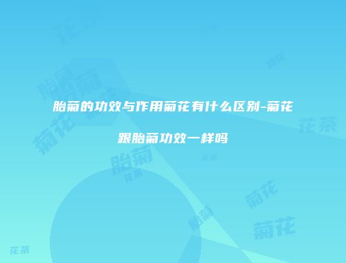 胎菊的功效与作用菊花有什么区别-菊花跟胎菊功效一样吗
