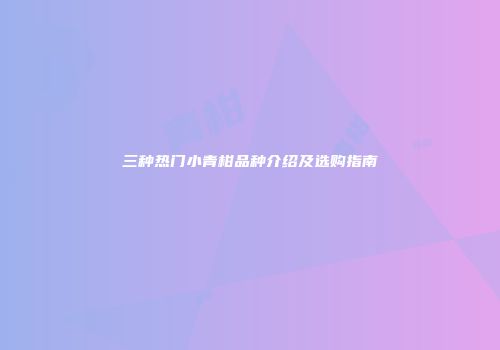 三种热门小青柑品种介绍及选购指南