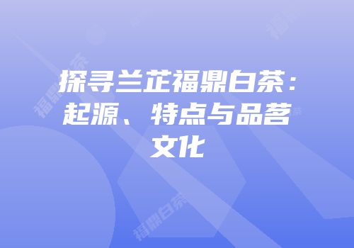 探寻兰芷福鼎白茶：起源、特点与品茗文化