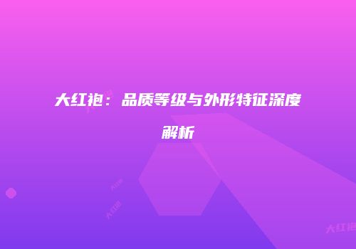 大红袍：品质等级与外形特征深度解析