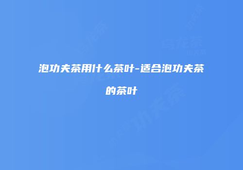 泡功夫茶用什么茶叶-适合泡功夫茶的茶叶