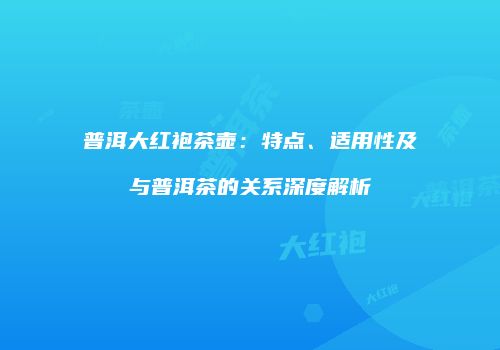 普洱大红袍茶壶：特点、适用性及与普洱茶的关系深度解析