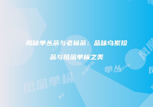 揭秘单丛茶与老枞茶：品味乌岽珍品与凤凰单枞之美