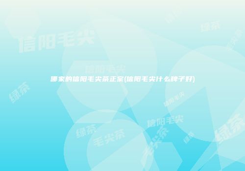 哪家的信阳毛尖茶正宗(信阳毛尖什么牌子好)