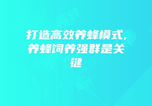 打造高效养蜂模式,养蜂饲养强群是关键