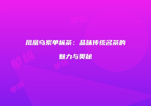 凤凰乌岽单枞茶：品味传统名茶的魅力与奥秘