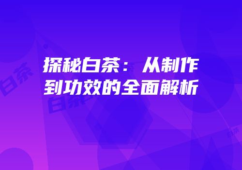 探秘白茶：从制作到功效的全面解析
