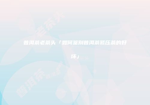 普洱茶老茶头「如何鉴别普洱茶紧压茶的好坏」